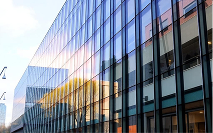 The Hague University